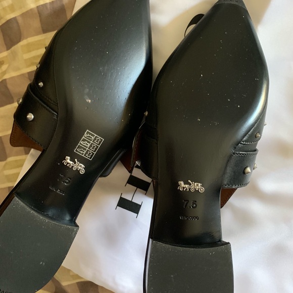 Coach slides - Picture 4 of 5